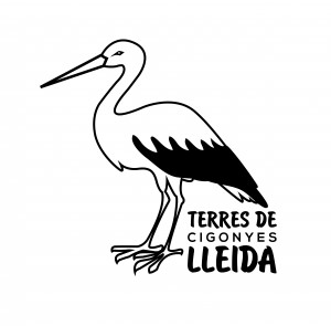 cigonyes adhesiu proposta