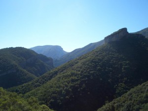 Image06